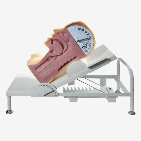 ߼ʻģ
